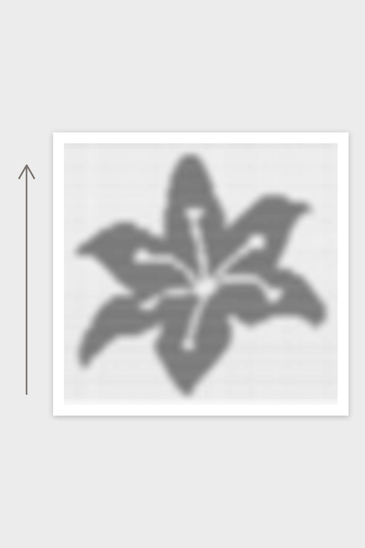 Kissen Poison Petals - Blume: Strickschrift als grobe Vorschau, gestrickt von unten nach oben
