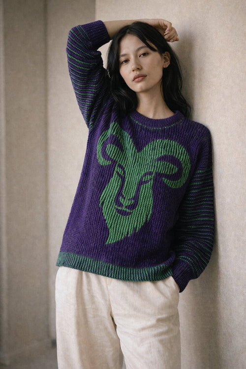 Pullover Aries - Sternzeichen Widder