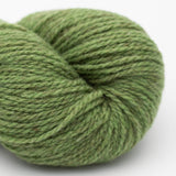 17 Apfel