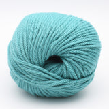 19 Light Teal