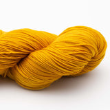 2058 Turmeric