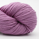 11 Phlox Lila