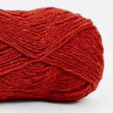 2718 Cuzco Coral