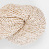 2819 Cantaloopy
