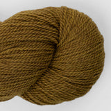 2233 Patagonian Moss