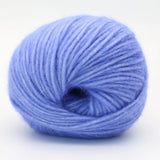 21 Cornflower Blue
