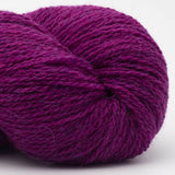 27 Fuchsia