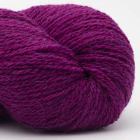 Bio Shetland