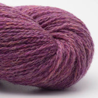 Bio Shetland