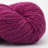 Bio Shetland