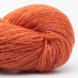 37 Orange