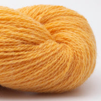 Bio Shetland