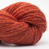52 Rostorange
