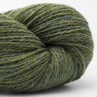 Bio Shetland