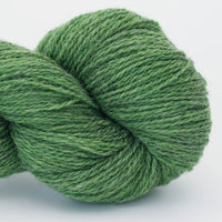 Bio Shetland