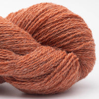 Bio Shetland