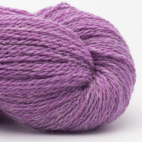 Bio Shetland