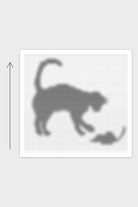 Kissen The Hunt - Katze: Strickschrift als grobe Vorschau, gestrickt von unten nach oben
