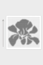 Kissen Velvet Orchid - Blume: Strickschrift als grobe Vorschau, gestrickt von unten nach oben