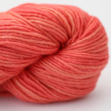 3251 Orange