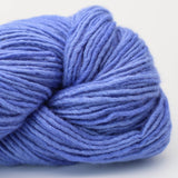 3255 Ion Blau